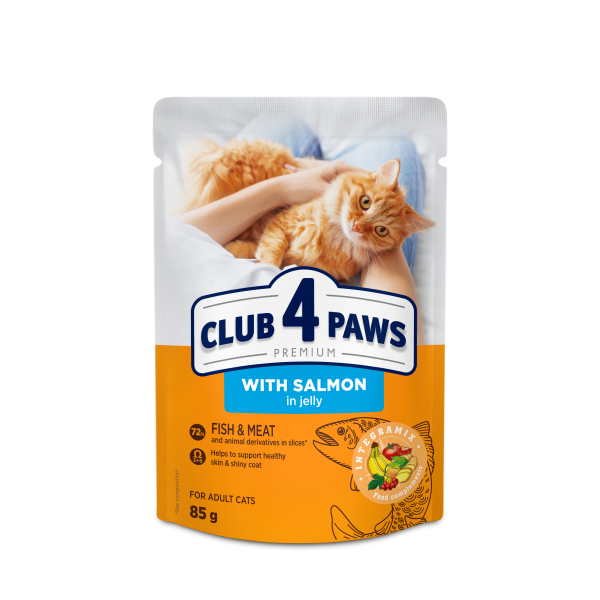 CLUB 4 PAWS Premium Pienso Húmedo para Gatos adultos con Salmón en Gelatina ,0,085kg